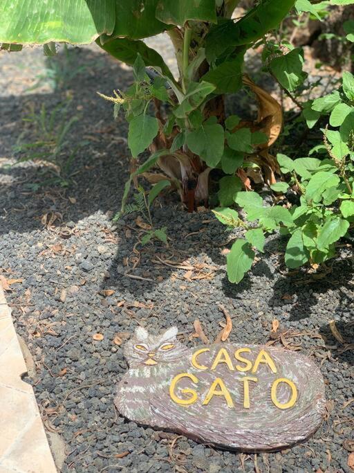 코라레호 Casa Gato 아파트 외부 사진